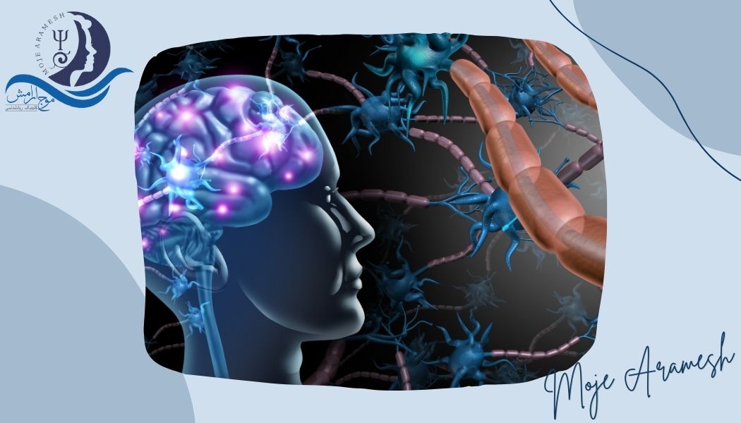تشخیص آسیب تروماتیک مغز با کمک نقشه‌ مغزی
