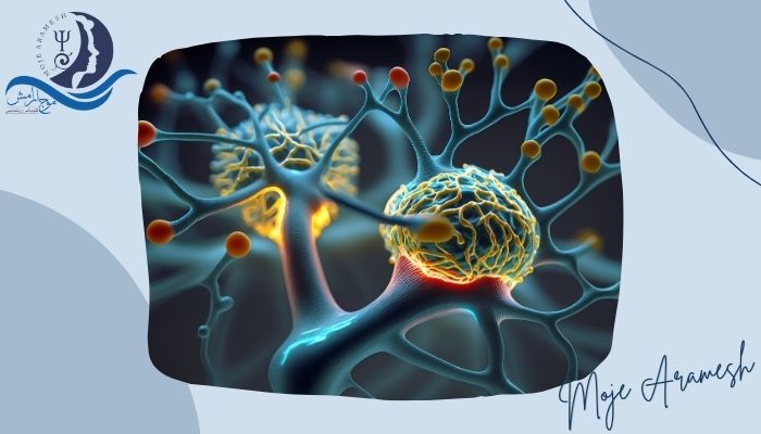 آیا می دانید نوروپلاستیسیتی یا انعطاف پذیری عصبی به چه معناست؟